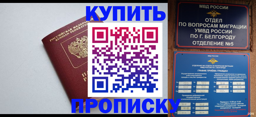 прописка регистрация в Белгороде